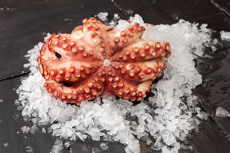 Beneficios del pulpo cocido congelado