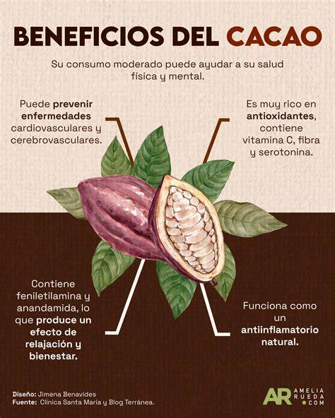 Beneficios de la cerveza oscura y el cacao