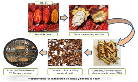 Proceso de secado de la pastirma