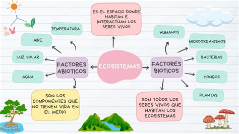 Esquema del ecosistema DeFi de SushiSwap