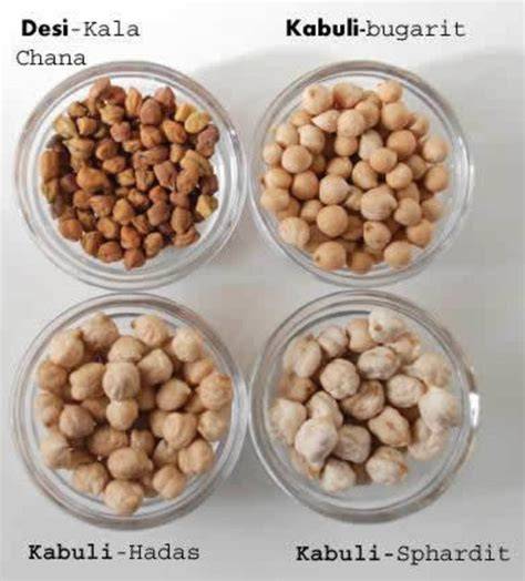 Tipos de garbanzos en España