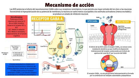 Esquema del mecanismo de acción de la finasterida en la conversión de testosterona a DHT