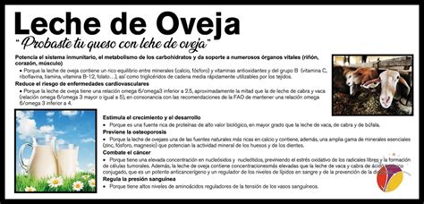 Variedad de postres elaborados con leche de oveja