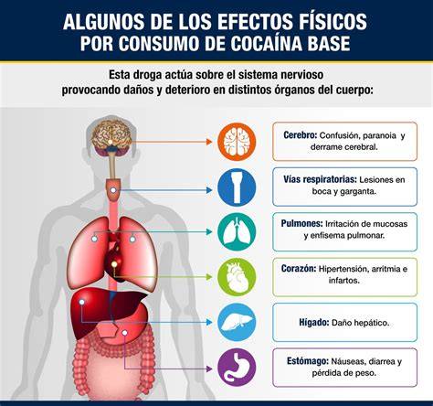 Diagrama de los efectos de la sobredosis de cocaína en el cuerpo