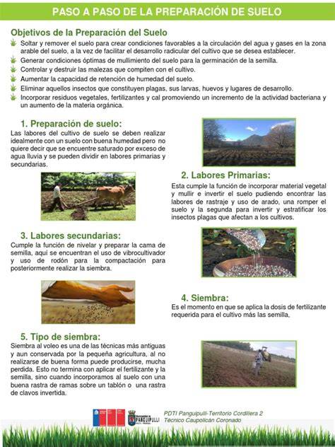 Infografía paso a paso de la preparación del cocido.
