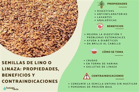 Infografía sobre los beneficios de las semillas de lino