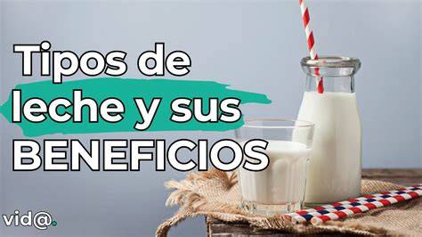 Tipos de leche y sus tratamientos