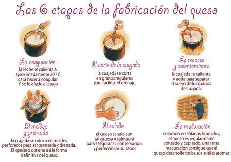 Proceso de elaboración de queso ricotta casero