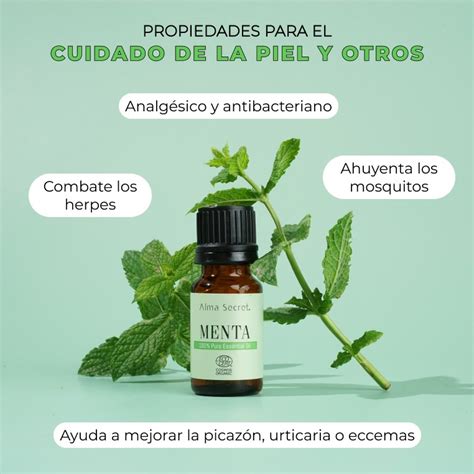 Botella de aceite esencial de Malagueta y sus componentes químicos principales