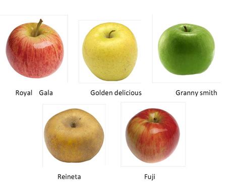 Variedades de manzanas Fuji, Royal Gala y Pink Lady