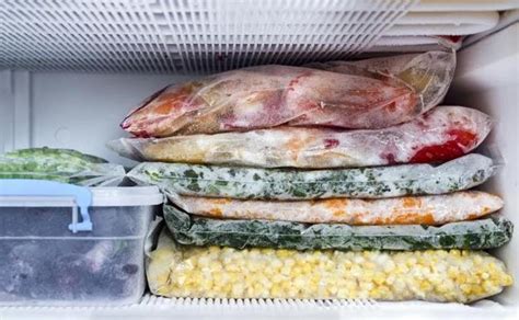 Alimentos congelados para una conservación prolongada