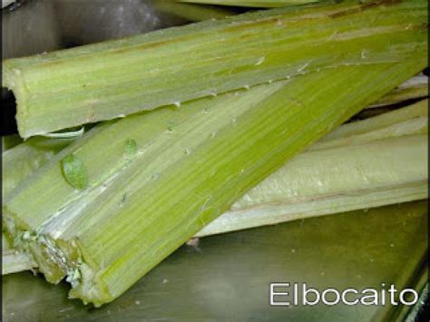 Pencas de cardo limpias y troceadas