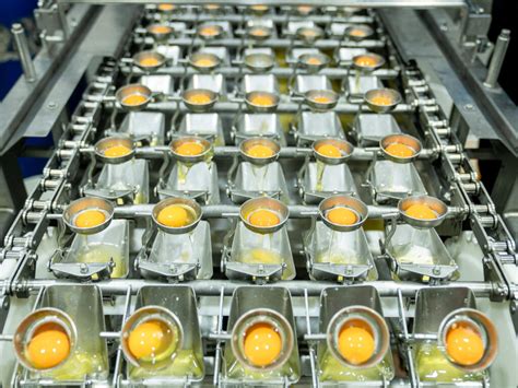 Ilustración del proceso de pasteurización de huevos en Thermomix