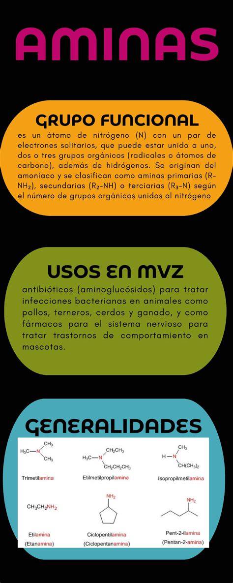 Infografía sobre la sémola y sus usos