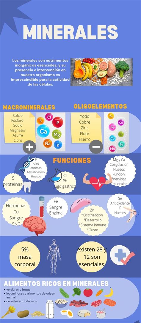 Infografía sobre los minerales presentes en las castañas