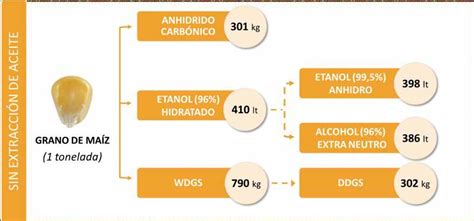 Diagrama técnico del proceso de expansión del grano de maíz al calor