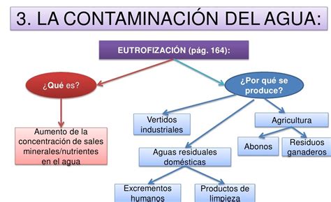 Esquema de contaminación bacteriana en vegetales frescos