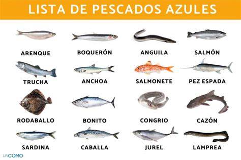 pescado azul fresco y omega-3
