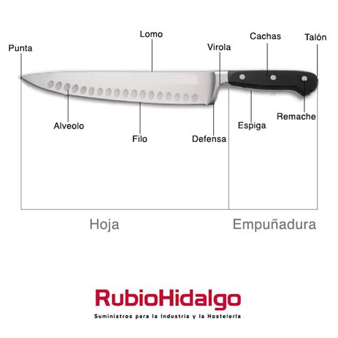 Infografía sobre las partes de un cuchillo de sierra: punta, filo dentado y mango