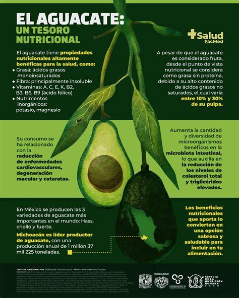 Infografía sobre los beneficios del aguacate y el arroz integral