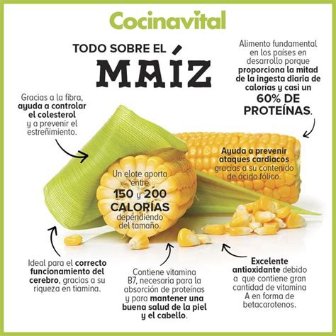 infografía sobre los beneficios nutricionales del maíz