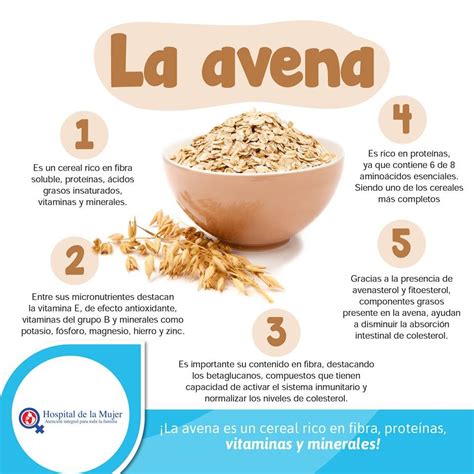 Beneficios nutricionales de la avena