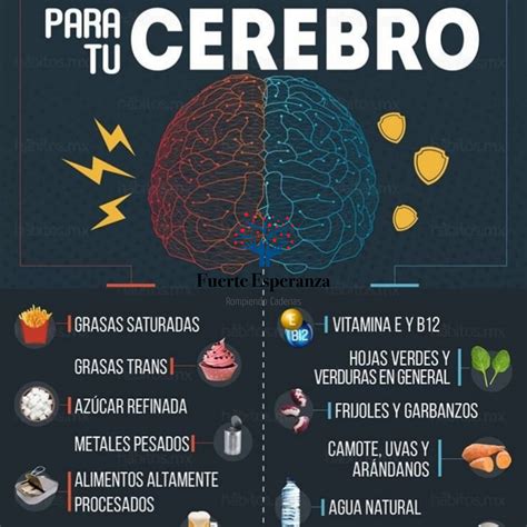 Zonas del cerebro afectadas por el consumo de ultraprocesados