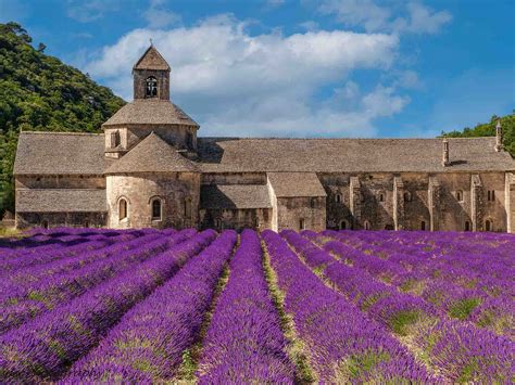 Paisaje rural de la Provenza francesa