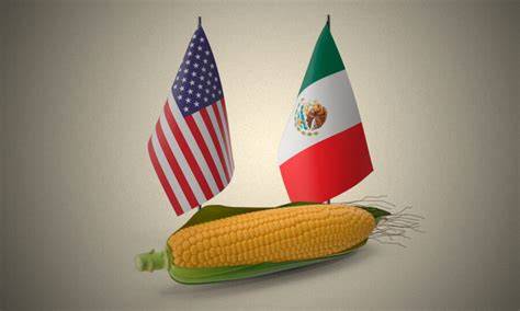 Consumo de tortillas de maíz en México vs. Estados Unidos