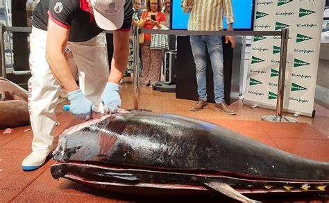 Atún rojo fresco en el mostrador de una pescadería