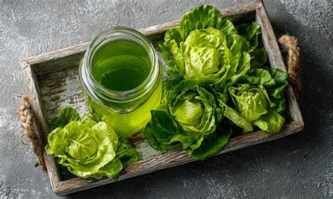 preparación artesanal de agua de lechuga en la cocina