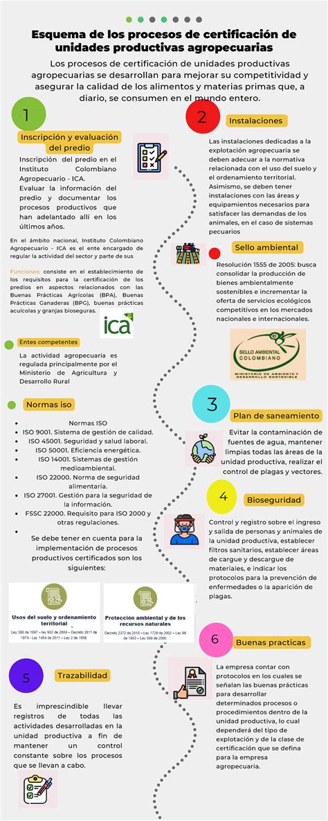 Esquema del proceso de certificación DHL Green Carrier