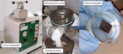 Proceso de corte y preparación de verduras para estofado