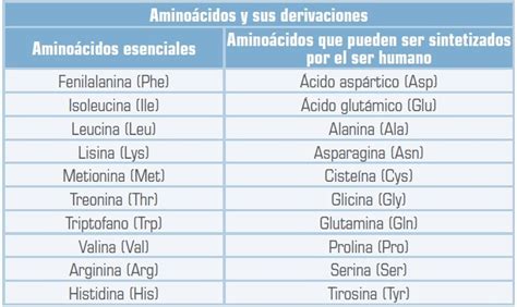 Tabla comparativa de aminoácidos esenciales en proteínas lácteas y vegetales