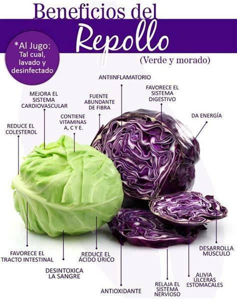 Tipos de repollo: blanco, verde y morado con sus propiedades