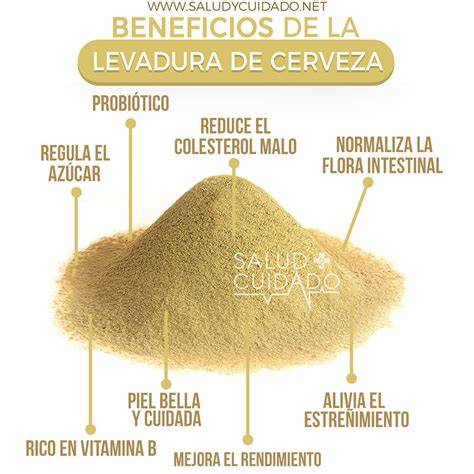 Efectos de la levadura de cerveza en la salud del suelo