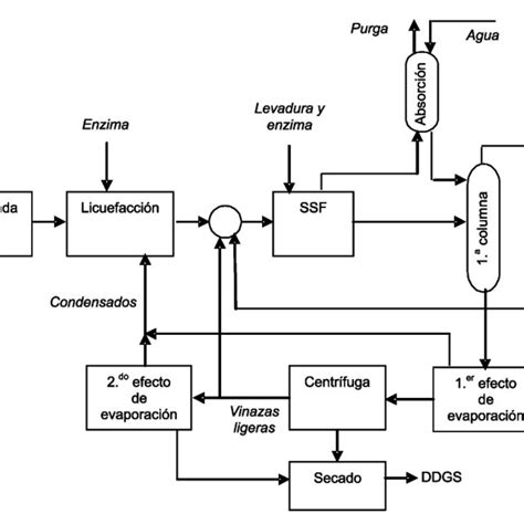 Esquema del proceso de obtención de fertilizante a partir de residuos de levadura de cerveza