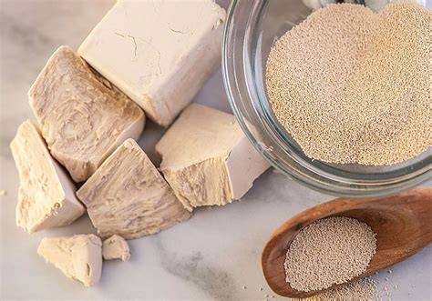 Levadura de panadería fresca y seca