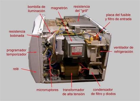 Componentes internos de un horno microondas