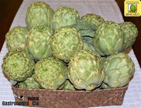 Infografía sobre la alcachofa de Benicarló: origen, propiedades y usos culinarios