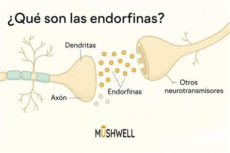 Representación de la liberación de endorfinas al comer