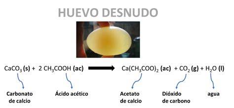 Esquema de la reacción del vinagre con el huevo