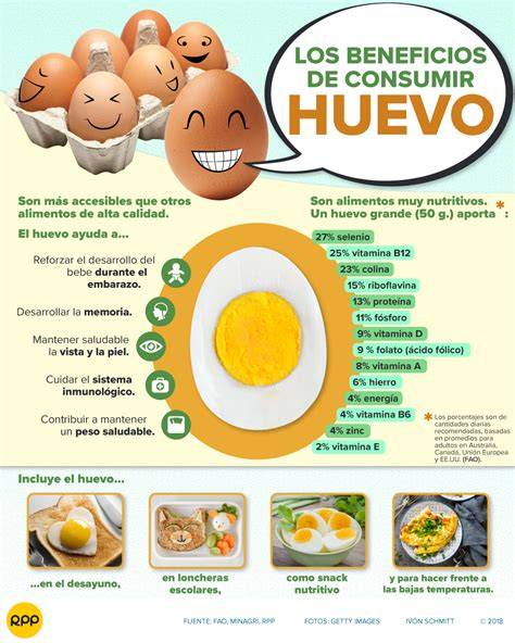 Infografía sobre los beneficios nutricionales del huevo