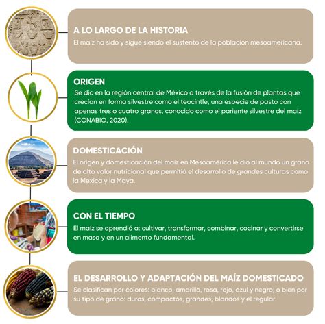 Historia del maíz en Cuba