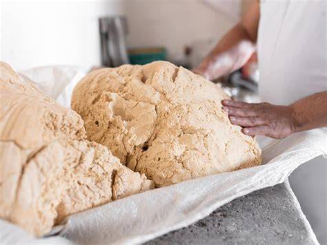 Proceso de amasado de harina para tortillas