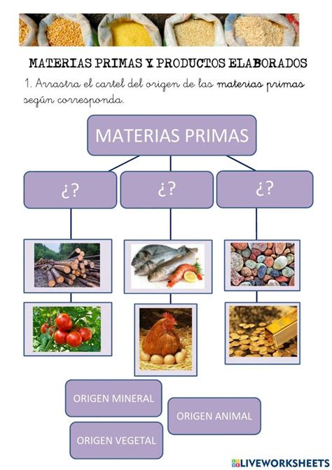 Esquema de las materias primas básicas para la elaboración de pan: harina, agua, sal y levadura