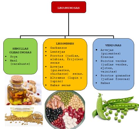 Diagrama que muestra la relación entre leguminosas, legumbres y verduras.