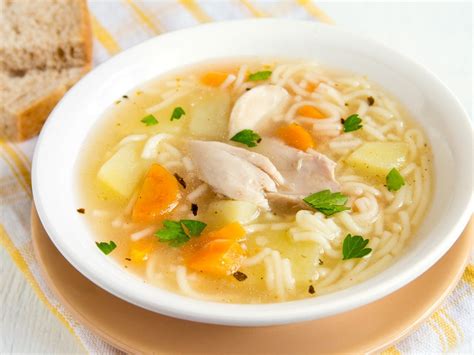 Plato de sopa de pollo con fideos humeante
