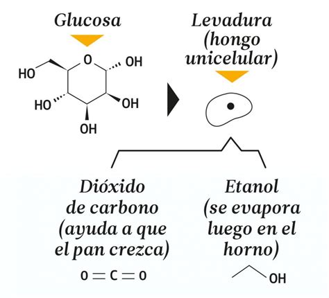 Esquema de funcionamiento de la levadura química en el horno