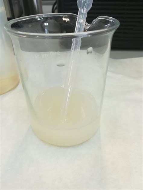 Agua y levadura en el vaso de Thermomix